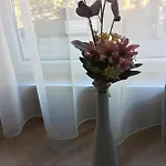 мони Apartment