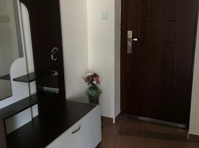 мони